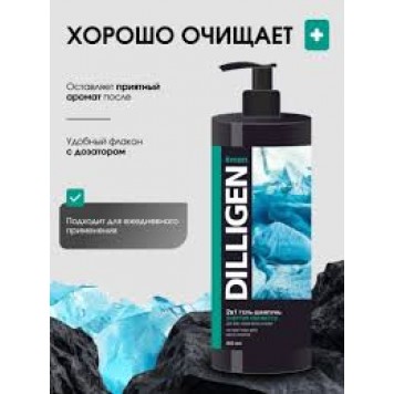 Гель-шампунь DILLIGEN 950мл 2в1 муж с дозатором