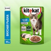 Китекат   85 г пауч Рыба в соусе ЧЗ 1/28 (10281178), шт