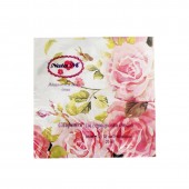 Салфетки Natam 2-х сл.33*33см 20шт 
