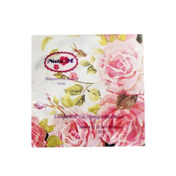 Салфетки Natam 2-х сл.33*33см 20шт 