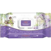 Влажные салфетки Travel Париж 120шт с крыш.